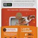 WORLD'S BEST CAT LITTER Low Tracking & Dust Control Multiple Cat Unscented 8-Pounds - Natural Ingredients, Quick Clumping, Flushable & Made in USA - Long-Lasting Odor Control & Easy Scooping