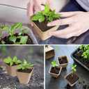 Square Peat Nursery Pots 150 Pcs 3in Biodegradable and Label, Used for Outdoor Gardens in Plant Nurseries