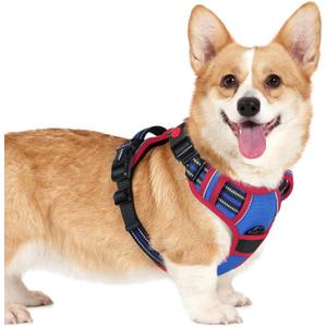 rabbitgoo Dog Harness Small Sized, No Pull Easy On & Off with 3 Buckles Pet Harness, Adjustable Soft Walking Vest with 2 Clips and Handle, Reflective for Small Dogs, Royal Blue & Red, S
