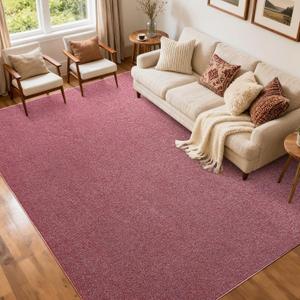 FinRec 5x7 Washable Area Rugs for Bedroom Living Room, Low Pile Thin Rug Solid Color, Non-Slip Carpet Indoor for Home Decor (Red/White)