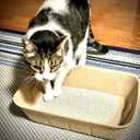 Midlee Disposable Cat Litter Boxes Pack of 5- Travel Portable Pet Tray Liner Pan