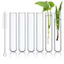 6pcs 100ml Large Glass Test Tube, 30x200mm Propagation Tube for Plant, 3.3 Borosilicate Clear Big Glass Test Tube Vase for Scientific Experiments Party Office Desktop Flower Decoration Wedding