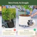 Rolling Metal Citrus Tree Planter Pot, 21 Round Planter Box for Porch Patio & Backyard, 20 Gallon Large Planter Pot with Wheels for Growing Olive Trees Tomatoes Vegetables and Flowers, Pearl White