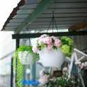 summer flower 2 Pack Self Watering Hanging Planters 9.9 Inch Hanging Baskets Plant Pots for Indoor Outdoor Halloween Hanging Plant Holder for Garden Porch Ceiling -White, Plant Not Included