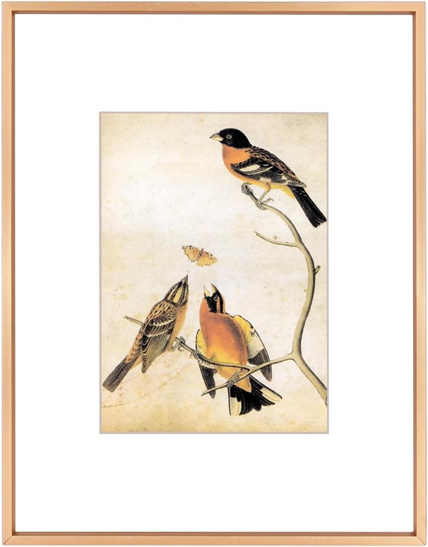 8.5x11 Picture Frame, Gold Metal Photo Frames with HD Glass, Fits 5x7 with Mat or 8.5 x 11 without Mat, Display for Wall and Table, 1 Pack