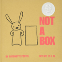 Not A Box Book