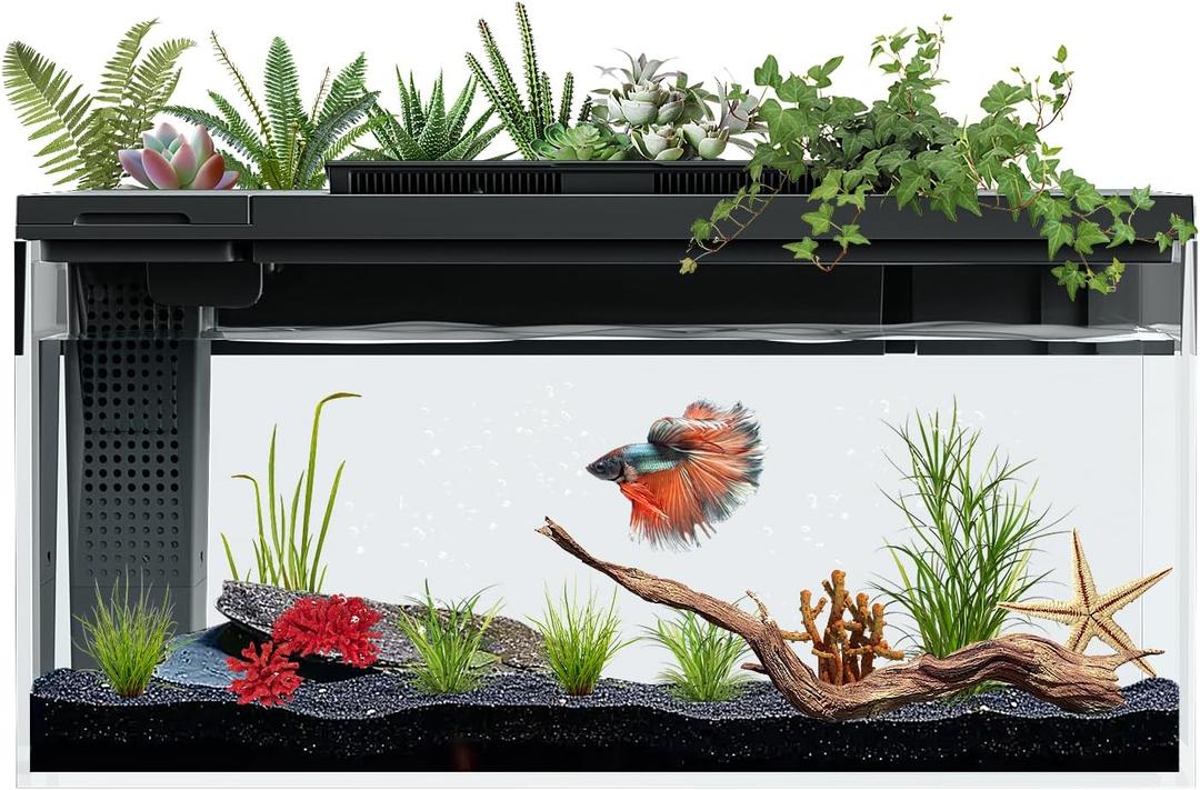 3.7 Gallon Betta Fish Tank self Cleaning, Smart Aquarium Aquarium kit with Filter Light Water Pump
