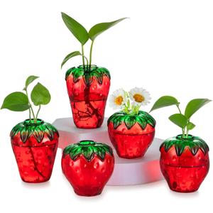 Glass Strawberry Propagation Vases for Plants: Cute Strawberry Decor for Home Kitchen Bathroom Office - Unique Indoor Hydroponic Planters Gifts for Mom Women Mothers Day