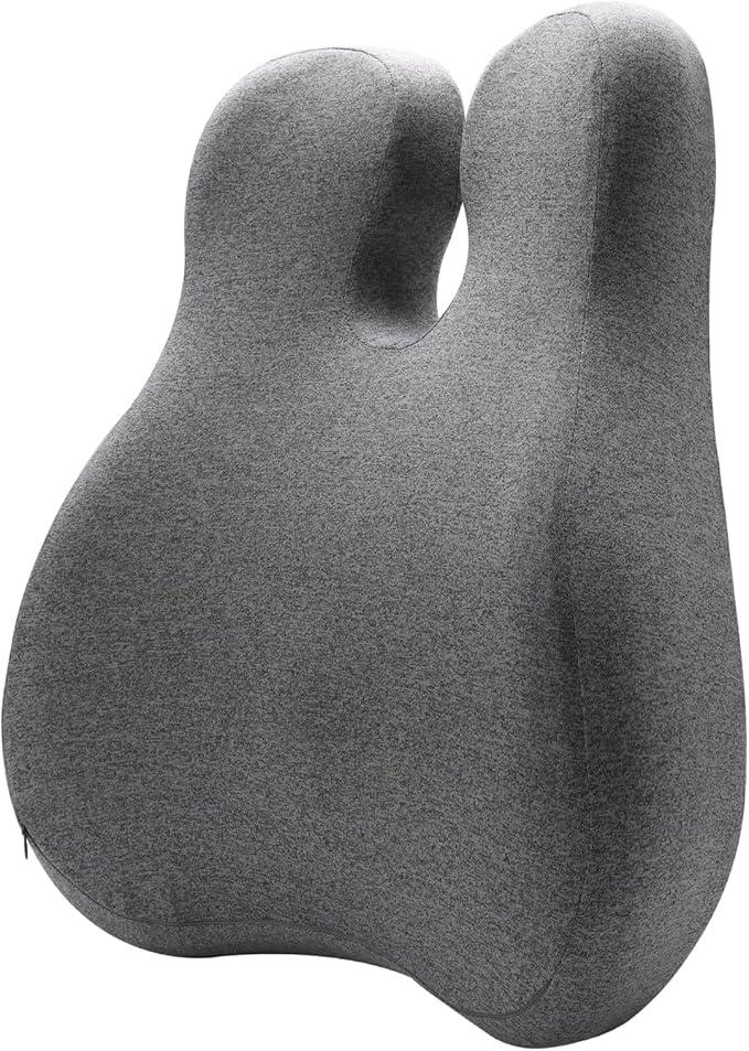 FRIENA Lumbar Support Pillow for Office Chair & Home– High-Density Memory Foam Back Cushion for Lower Back Pain Relief, Ergonomic Back Support Pillow with Breathable Washable Cover – Gray