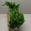 9FT Christmas Garlands Norfolk Pine Garland Real Touch Artificial Faux Greenery Garland for Holiday Indoor Outdoor Decor