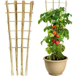 3 Pack Natural Bamboo Trellis 4.8 Ft, Fan-Shape Garden Ladder Plant Trellis for Climbing Plants, Vegetables, Cucumber, Tomato, Potted Plants