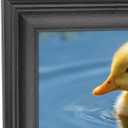 11x32 inch Picture Frame Solid Wood Black Suitable for Panoramic Photo/Poster/Painting/Puzzle (A23B1132)