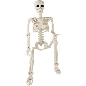 36" Halloween Skeleton, 3 ft Human Skeleton Full Body Posable Joints Plastic Skeleton for Halloween Decoration, Yard Patio Lawn Garden Skeleton Spooky Party Decoration Indoor Outdoor