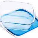 Glass Baking Dish with Plastic lids, Container with BPA Free Lids, Glass Casserole for Lasagna, Leftovers, Cooking, Kitchen, Freezer-to-Oven and Dishwasher (2.6-Quart Square)