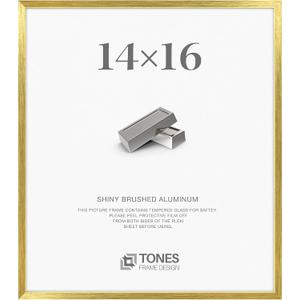 TONES FRAME DESIGN 14x16 Brush Gold Aluminum Frame with Plexiglass