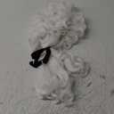 Judge Colonial Wig Man Curly White Wigs Halloween Costume Cosplay Wig (White)
