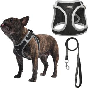 AMTOR Small Dog Harness with Leash Set, No Escape Easy Walk Puppy Harnesses for Training Walking, Step-in Reflective Soft Dogs Vest for XS S Medium Extra-Small Large Sized Dog(XXS, Black/Grey)