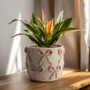 Yokiiimakiii Ceramic Flower Pots for Indoor and Outdoor Plants, Succulent Orchid Round Clay and Terracotta Planter for Garden Home Modern Decoration 5.3 Inch (Pink Bow, Without Saucers)