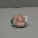 Wacoal Women's Red Carpet Strapless Bra (32C, Roebuck)