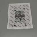 Egofine 8x10 Picture Frame Made of Solid Wood Covered by Plexiglass, Display Pictures 4x6/5x7 with Mat or 8x10 Without Mat for Table Top Display and Wall Mounting Photo Frame, White