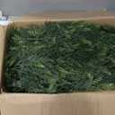 Yangrass 2Pack Artificial Cedar Topiary Trees with Pot,4FT UV-Anti Greenery