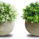 THE BLOOM TIMES 2 Pcs Fake Plants for Bathroom/Home Office Decor, Small Artificial Faux Greenery for House Decorations (Potted Plants)