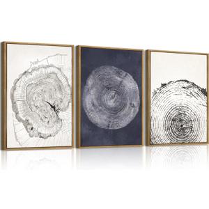 IARTTOP Framed Tree Ring Wall Art Modern Neutral Wood Stump Wall Decor Abstract Tree Spiral Wall Decor For Living Room Bedroom Office12 x16 Inch Set Of 3