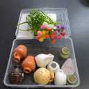 10Pcs Cute Ceramic Vase Fridge Magnets Tiny 3D Plant Vase Funny Mini Vase Fridge Magnets for Fridge, Kitchen, Office Decoration