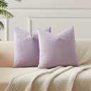 JUSPURBET Decorative 20x20 Pillow Covers Set of 2 Velvet Throw Pillow Covers for Couch Sofa Bed Soft Cushion Covers Cases with Hidden Zipper for Living Room Home, Lilac