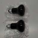 GRUBSFARM 75W Reptile Night Light Bulb – 2.5" Compact Purple UVA Basking Lamp for Lizards, Chameleons, Snakes, Turtles, Amphibians, Bearded Dragons – Indoor Terrarium Heat & Night Lamp, 2-Pack