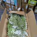 6 Pack Snowy Artificial Cedar Picks Stems Frosted Faux Cedar Spray Christmas Cedar Greenery Branches for Holiday Season Floral Arrangement Centerpiece Winter Wedding Decorations 20" Tall