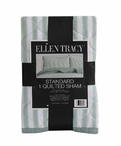 Ellen Tracy™ Stripe Single Standard Quilted Sham - Green, 20 x 26