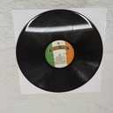 House of Pain, Vinyl