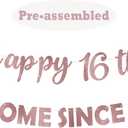 Eucutur Pink Rose Gold Sweet 16 Party Decorations for Girls Women, Pre-Strung Giltter Awesome Since 2010 16th Birthday Banner Party Supplies, Sixteen Years Old Hanging Banner Photo Props Decor Sign