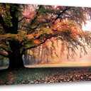 Tree of Life Wall Art Canvas Prints Natural Landscape Picture Home Decor Colorful Forest Paintings for Living Room Bedroom Bathroom Kitchen Decorations 20x40 Wooden Framed Artwork Easy Hanging (40L" x 20W", Colorful Tree of Life)