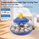 18 Egg Incubators for Hatching Eggs, Chicken Egg Incubator with Automatic Egg Turning and Temperature Humidity Control, 360 Clear View Lid or Home, Farm, Classroom, Hatching Chicken, Duck,Quail,Goose