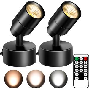 FZWLE 2 Pack LED Spot Lights - Dimmable with Timer & Remote,3W 3000K-5000K, 5.9FT Cord for Paintings,Wall Art, Indoor Plants & Home Accent Lighting