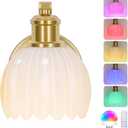 VerRon Rechargeable Battery Operated Wall Sconce with Milky White Glass Lampshade, Wireless Wall Scone Decor with Remote Control, 15 Colors Gold Wall Light for Bedside Hallway Bedroom Doorway