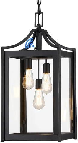Osimir Outdoor Pendant Light, 14" Large Modern Hanging Porch Light with Adjustable Chain, Black Exterior Outdoor Hanging Lantern with Clear Glass for Porch Foyer Gazebo, 2439/1H - Amazon.com