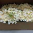 100 Pcs Faux Champagne Hydrangea Artificial Flowers Bulk, Fake Silk Hydrangea Flowers Heads with Stems for Wedding Decorations Garden Party Baby Shower Porch Home Decor Table Centerpieces