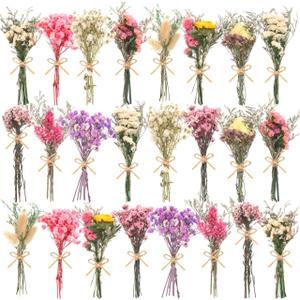 WGXX 24 Pack Dried Flowers for Vase Various Mini Bouquet Dried Small Wildflowers Natural Real Flowers Bulk for Crafts DIY Wedding Decor (24, Multicolor)