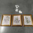 Gold Framed Botanical Wall Art Set of 3, Sage Green Watercolor Prints
Vintage Greenery Decor for Living Room, Bedroom, Office, Dining Room, Farmhouse and Cottagecore Spaces 10x8 inch