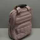 BAGSMART Small Underseat Carry on Luggage with Wheels, 16 inch Small Under Seat Luggage, Lightweight Travel Suitcase for Women, Baby Pink