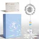 Handcrafted Pet Memorial Crystal Ornament Rainbow Prism Sun Catcher with Keepsake Card, Sympathy Gift for Loss of Dog or Cat Paw Designs, Love