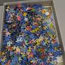 Ravensburger Little Garden World 1000 Piece Jigsaw Puzzle | Great Group Activity or Solo Project | Stunning Imagery | FSC-Certified Materials