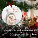 2 x Hedgehog Christmas Ornament - Animal Lover Xmas Tree Decoration, Cute Animal Themed Decor - Winter Christmas Decoration, Xmas Gift Ideas, Holiday Keepsake Gift for Hedgehog Lovers & Family