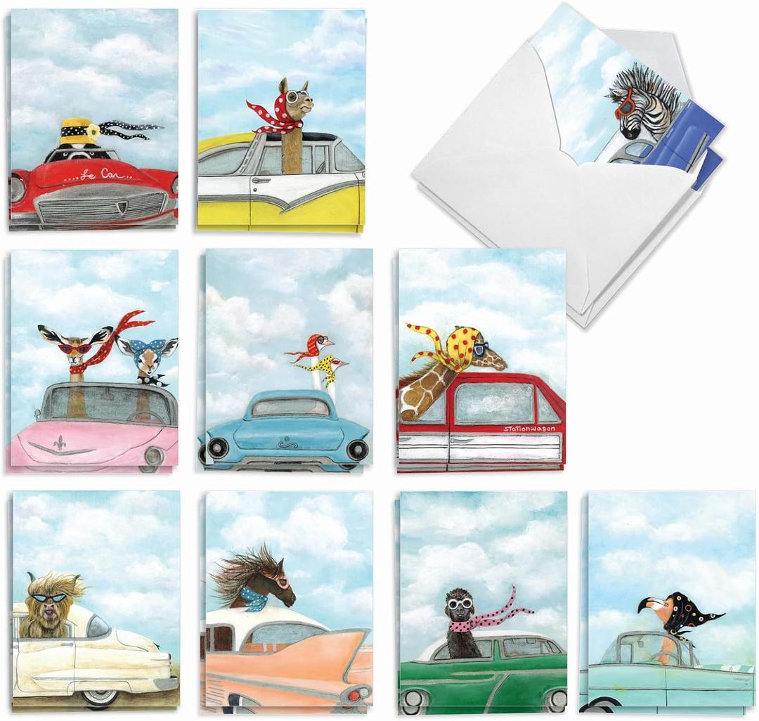Best Card Co 20 Assorted Note Cards with Envelopes Blank Animal Driving Divas Box Set Driving Divas for Animal Lovers AM9276OCB-B2x10