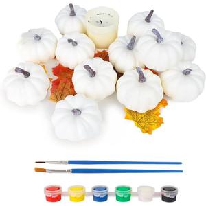 FUTUREPLUSX 12PCS Mini White Pumpkins for Decor, Fake Pumpkins to Paint, Halloween Thanksgiving Decorating Displaying