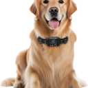 Furthrive GPS Dog Collar, Wireless Dog Fence 1003280 ft Circular Boundary, Waterproof GPS Dog Collar Fence System Outdoor Electric Pet Barrier with Beep, Vibration & Adjustable Training, Adjustable Fit for Dogs 10-110+ Lbs 