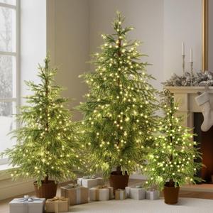 Set of 3 2ft 3ft 4ft Pre-lit Twinkle Christmas Norfolk Pine Tree with 175 LED Light Realistic Artificial Trees with Woven Basket Base Xmas Holiday Decor for Indoor Living Room Home (Norfolk Pine Tree)